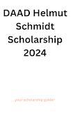 DAAD Helmut Schmidt Scholarship